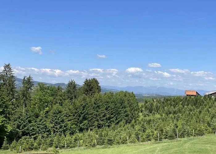 Styrian Time بيت للعطل *